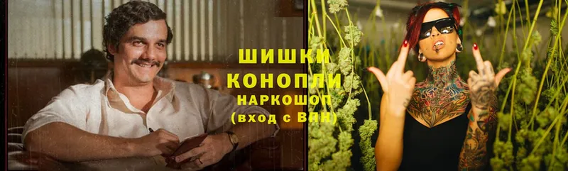 Бошки Шишки THC 21%  блэк спрут как войти  Духовщина 